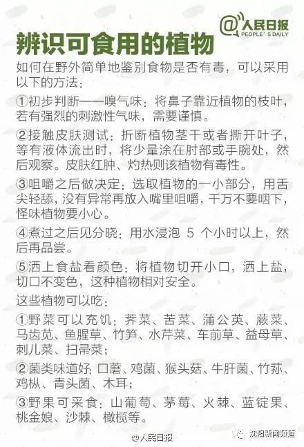 紧急救援浙江秦岭山迷路被困驴友,紧急救援沈阳