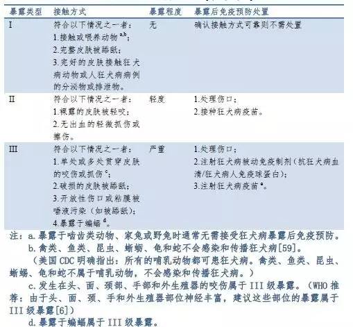 被老鼠咬伤要不要打狂犬疫苗,被宠物兔子咬了需要打狂犬疫苗吗
