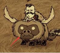 饥荒联机版帝王蟹技能详解,饥荒联机版胡子哥怎么玩