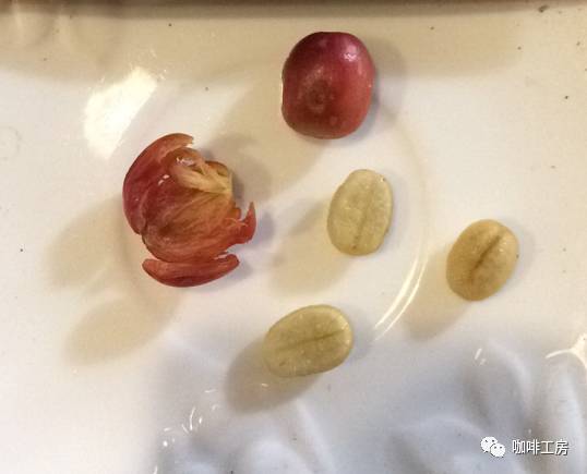 咖啡小白必须知道的词汇,咖啡专用术语大全