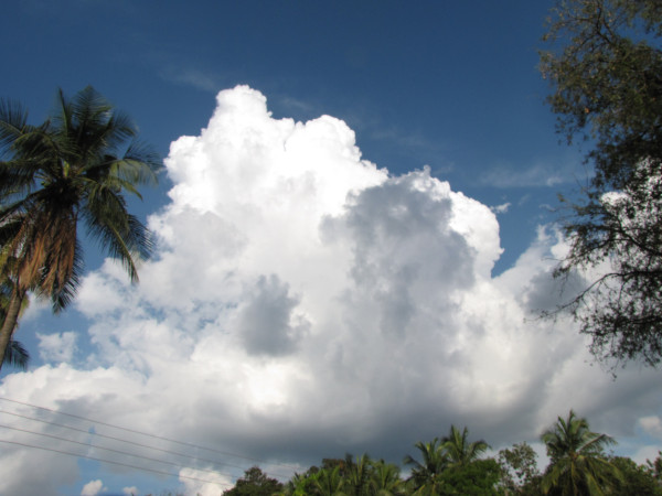 斯里兰卡个人旅游攻略,斯里兰卡华人旅游攻略视频