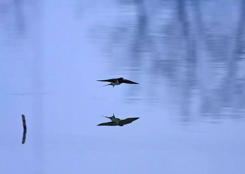 「诗词原创」闫鹏｜我辈当书胜绩激流犹待扬帆
