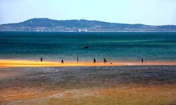 威海赶海攻略,威海冬季赶海攻略