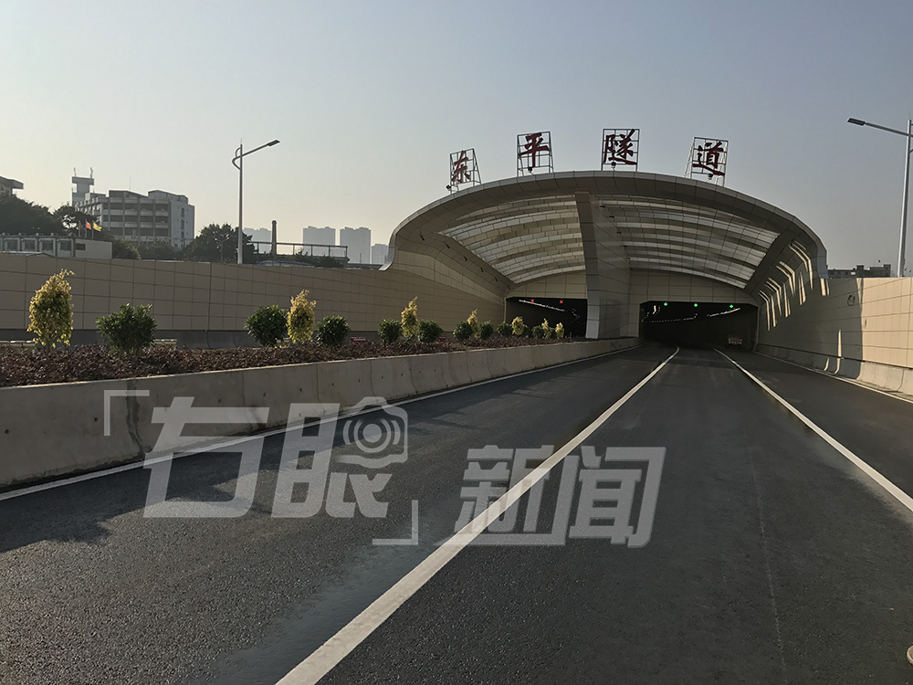 小家碧玉初长成的意思,小家碧玉初长成诗句