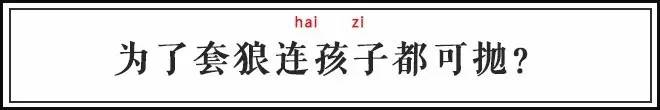 虞姬为什么难上弓,虞姬为什么不能失败一次