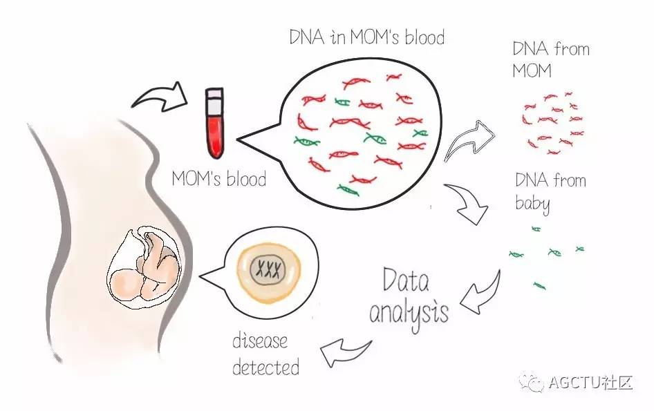 下一代测序技术原理,测序的原理
