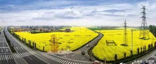 还嫌种粮不赚钱？这款新模式带您分分钟致富！