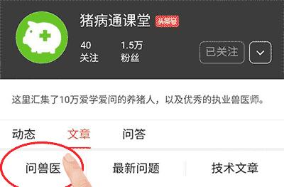 正是因为这些原因，才导致母猪不能一次“性”怀孕！