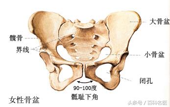 产后骨盆和正常骨盆的区别,骨盆测量有意义吗