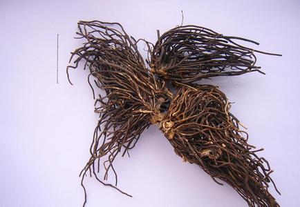 咽部异物感噎得慌,咽部吞咽异物感一般会是什么病症