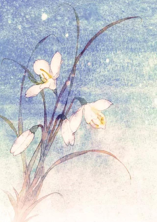 董小姐专栏解读,董小姐专栏最新