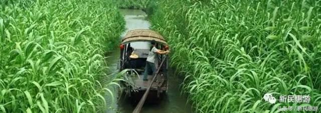 沙家浜，竹林幽径渔翁垂钓芦荡涛声