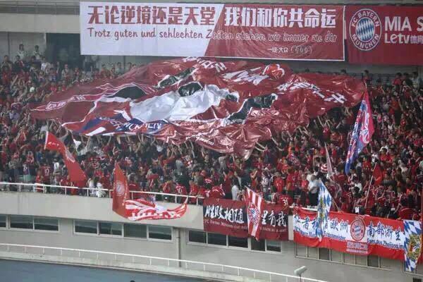 南部之星球迷版,南部之星慕尼黑