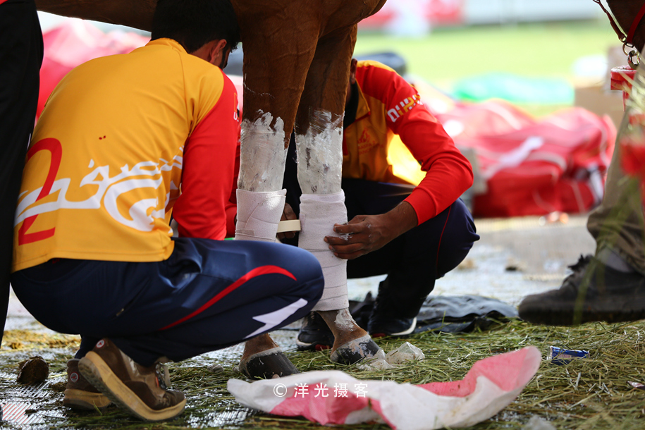 为什么迪拜土豪最有钱,真正的迪拜土豪