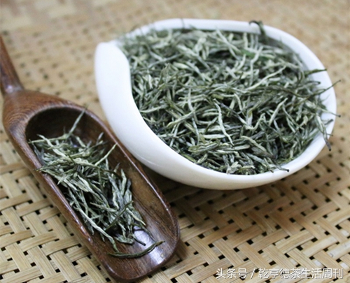 茶香古丈毛尖,古丈毛尖特级绿茶