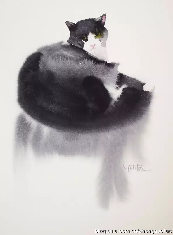 日本水墨画猫,国画猫水墨画