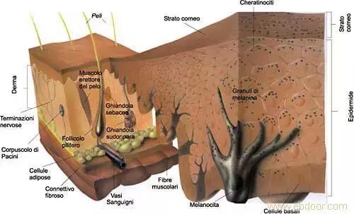 国足赢了嘛,国足赢了还会得癌症吗