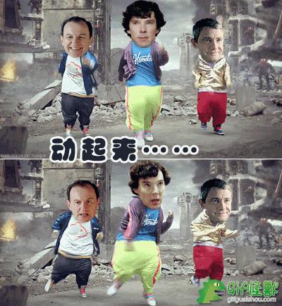 荷兰猪出门需要准备什么,荷兰猪可以独自待一个月