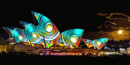 我是你大爷,我是你大爷八哥视频