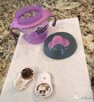 剁手指南｜吸管杯，你买对了吗？