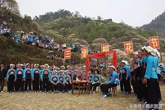 油桐花节完整视频,油桐花旅游节