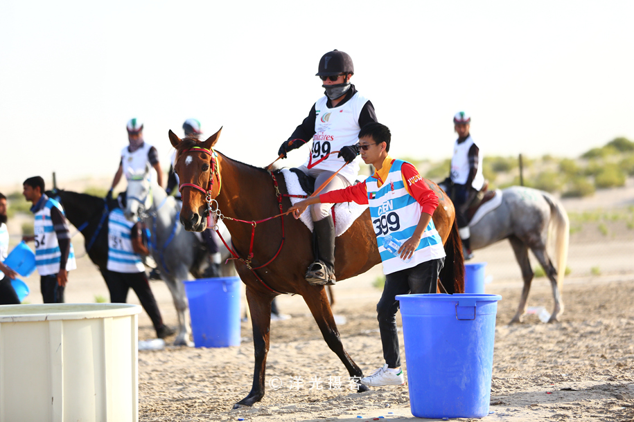 为什么迪拜土豪最有钱,真正的迪拜土豪