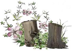 宜兴小太湖旅游攻略,宜兴国庆假期游玩攻略