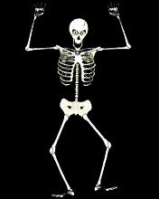 日本珍珠骷髅，将又是生又是死的饰品戴在身上，葬礼艺术作为灵感