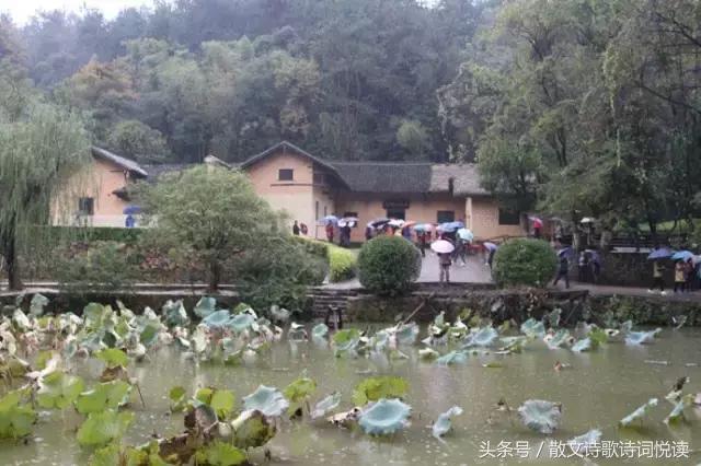 原川郎清明我心飞韶山