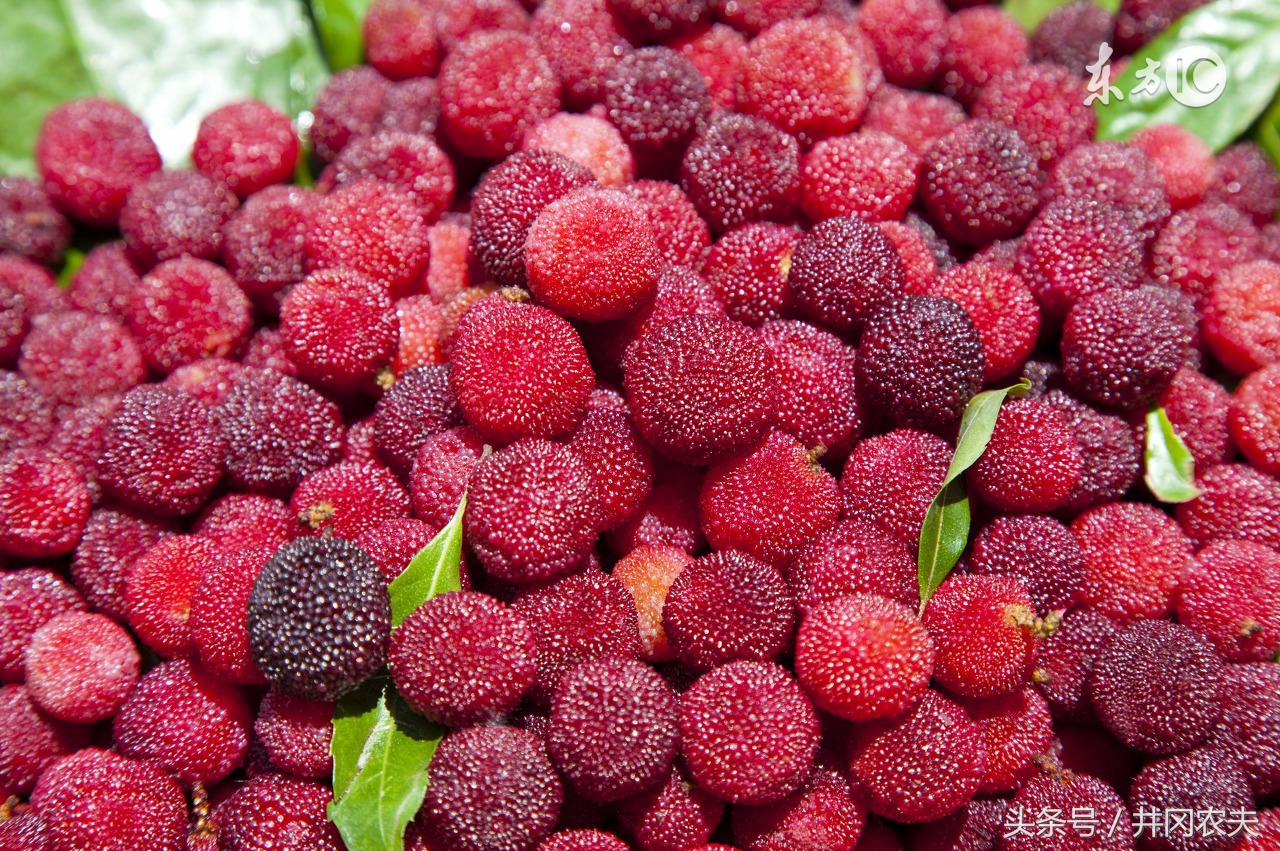 寻味江西,寻味江西之丰城篇