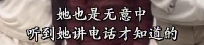 刑事侦缉档案袁天丽马成昌第五集,刑事侦缉档案袁天丽