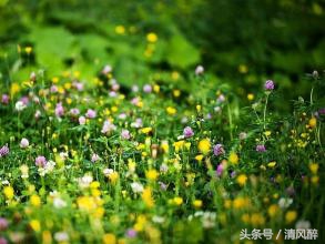 励志的朋友圈签名句子,励志微信签名女生专用