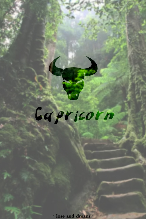 十二星座古风壁纸双鱼座最漂亮,哆啦a梦手机壁纸高清十二星座