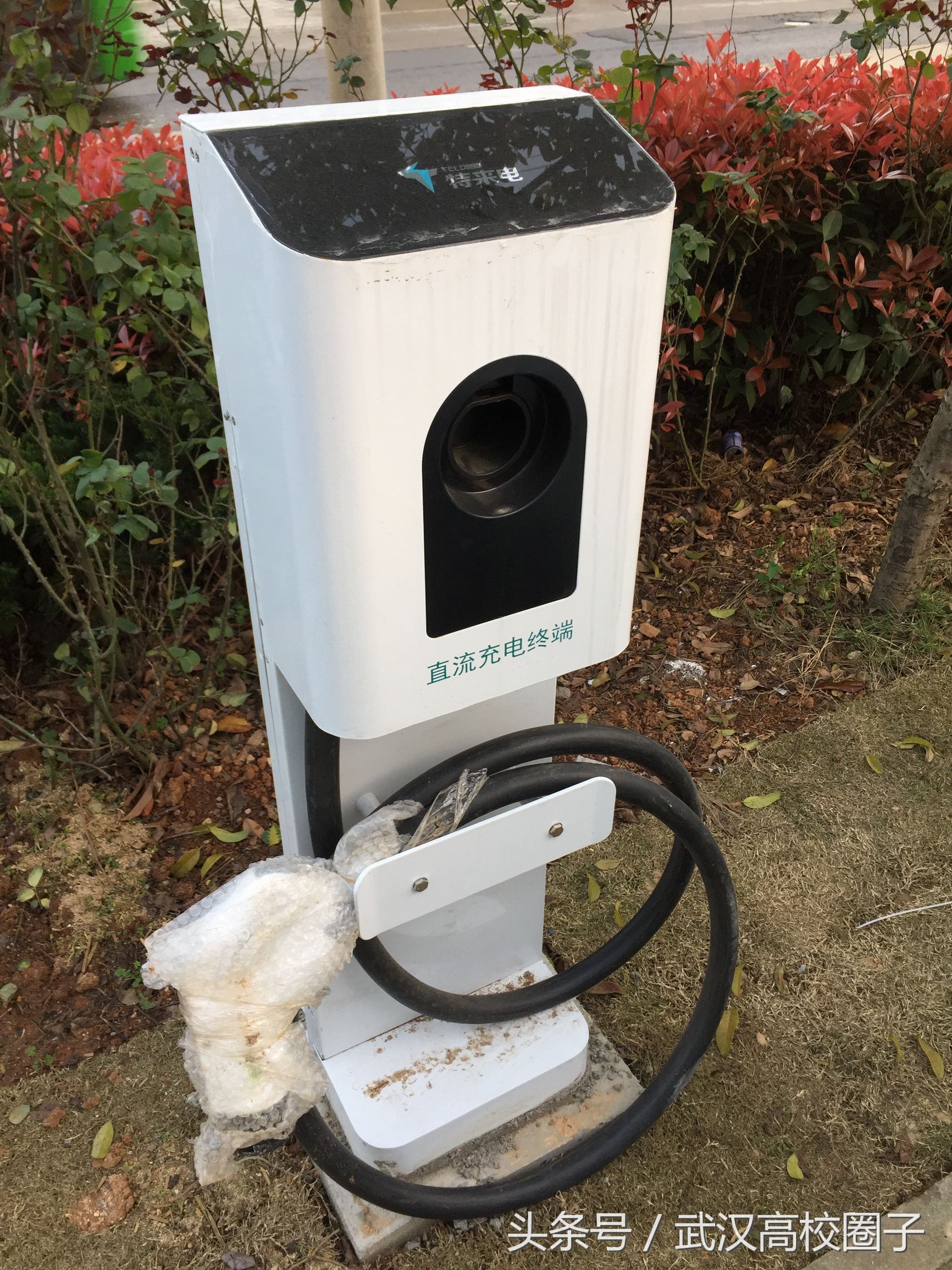 武汉gofun共享汽车怎么没车了,gofun共享汽车整个租车流程