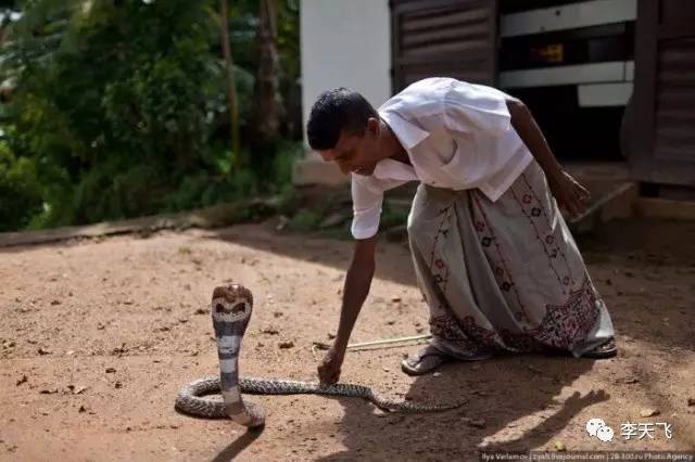 山海经中的东东是真的吗,山海经主要讲了啥