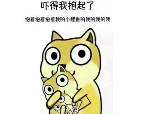 吐槽玩不起多肉的人,吐槽玩不起的人视频