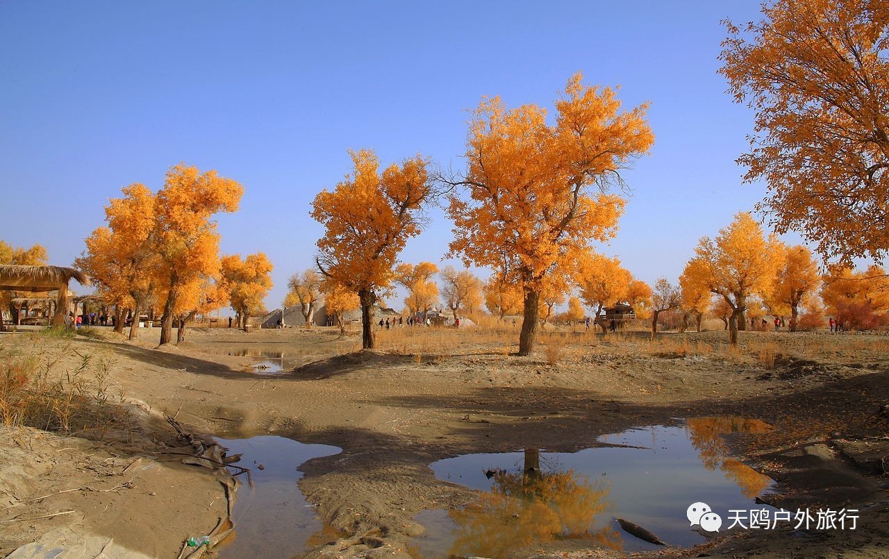 南疆最值得去的几个地方,南疆尉犁的景点