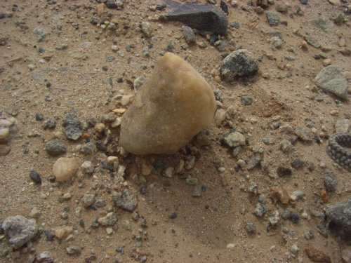 和田玉切割石头,和田玉籽料游记