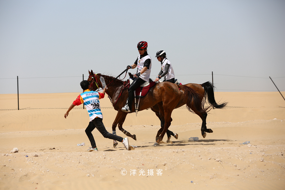 为什么迪拜土豪最有钱,真正的迪拜土豪