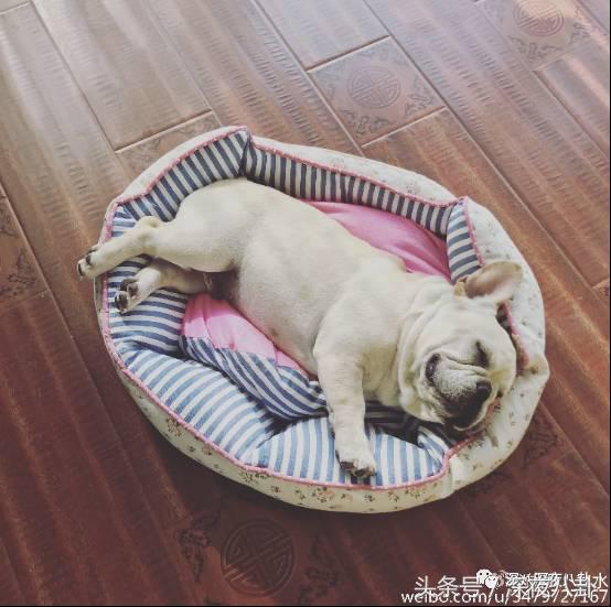 婚内招妓转移财产,花千万养小三,国足队员姜至鹏破门挺进出轨队