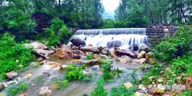 山东沂南秋日花海醉游人,沂南周边看梨花景点