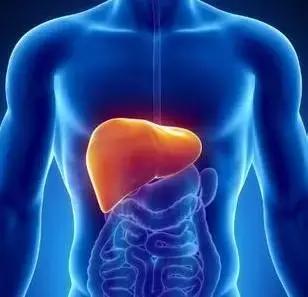 道医辟谷注意事项有哪些,中医养生知识大全辟谷方法