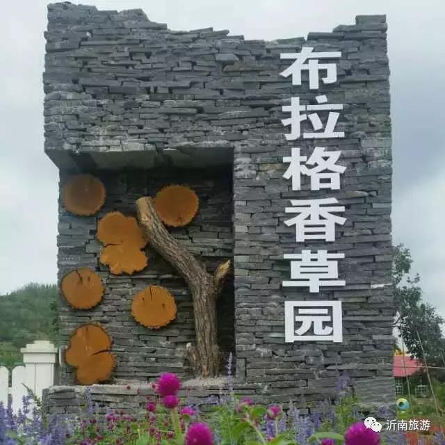 山东沂南秋日花海醉游人,沂南周边看梨花景点