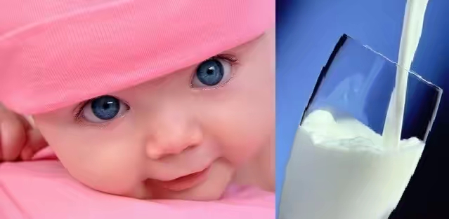 两百多进口奶粉怎么选,进口奶粉怎么选