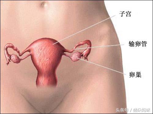 结婚被医生告知不能生,去医院体检医生说不能生宝宝