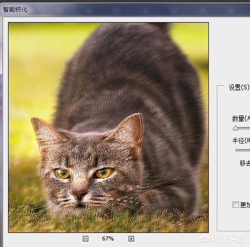 拍了一张照片怎么用ps处理,ps怎么矫正拍歪的照片
