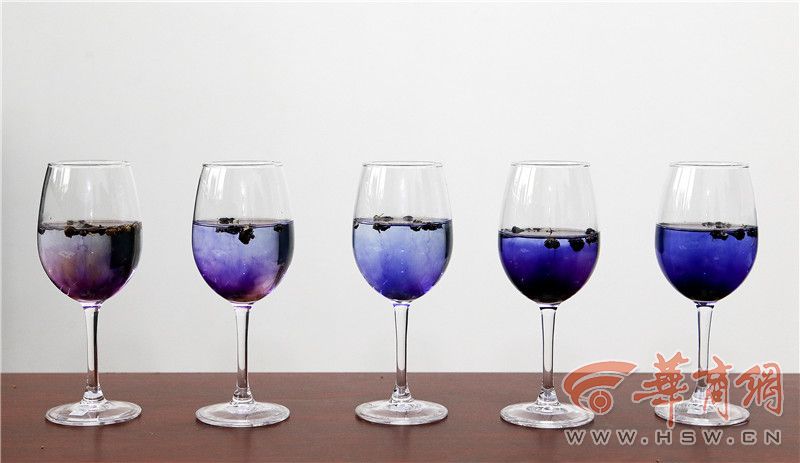 纯野生黑枸杞怎么辨别,市场上假的黑枸杞