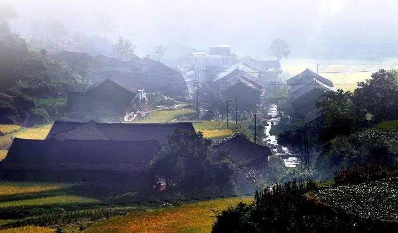 北京城的茶碗里,有1500公里外的安化黑茶