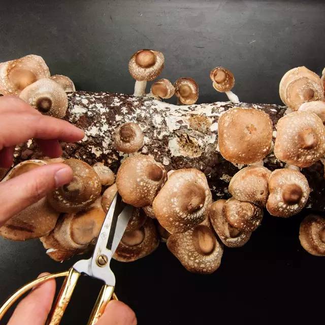 你舍不得花的钱总有人舍得帮你花,以前舍不得花你的钱现在才明白