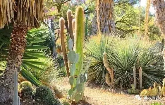 美国109岁老奶奶,109岁奶奶美国